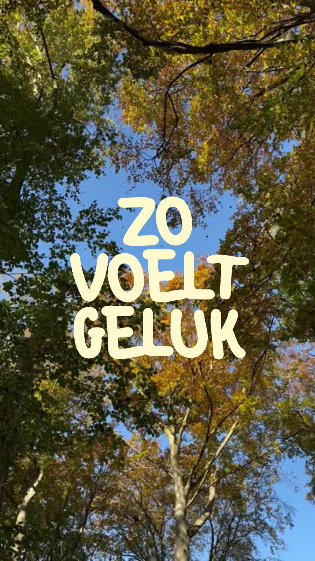 Groen en geel typografisch herfst mobiele video - Copy (6)